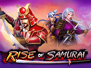 Rise Of Samurai icon